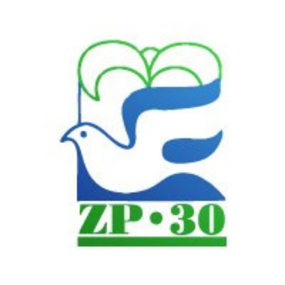 61158_Radio ZP-30.jpg